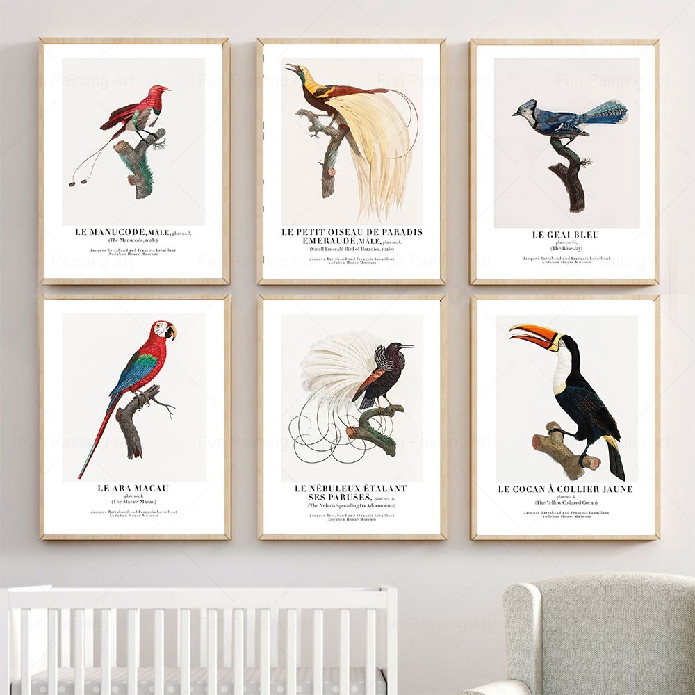 Vintage Paradise Bird Wall Art - огляд і ціна Furniture Paradise & Hardware Ghaziabad By Owner