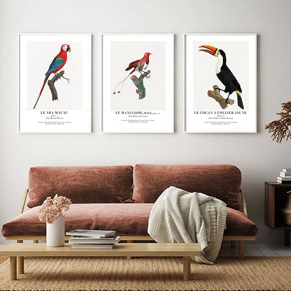 Vintage Paradise Bird Wall Art - огляд і ціна Furniture Paradise & Hardware Ghaziabad By Owner