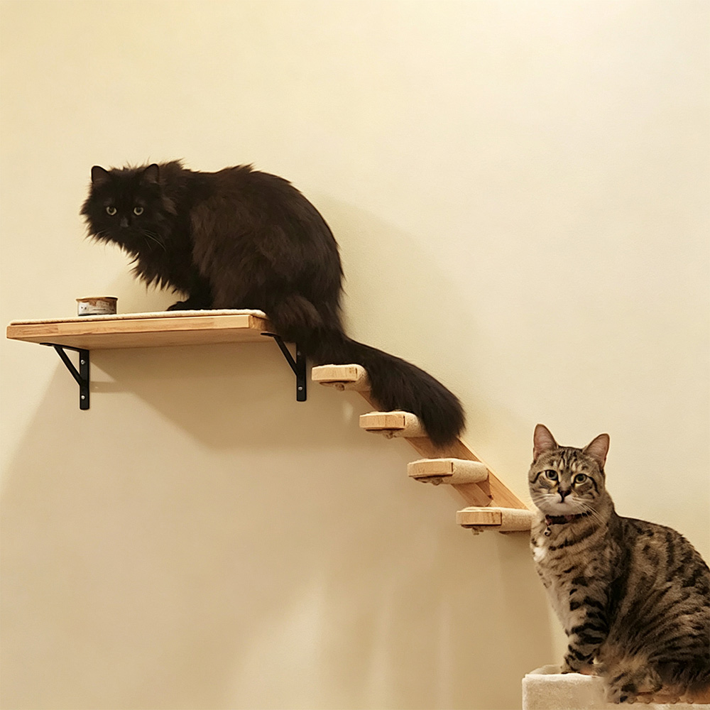 Cat Furniture Solid Wooden Sus - огляд і ціна Furniture Paradise & Hardware Ghaziabad By Owner